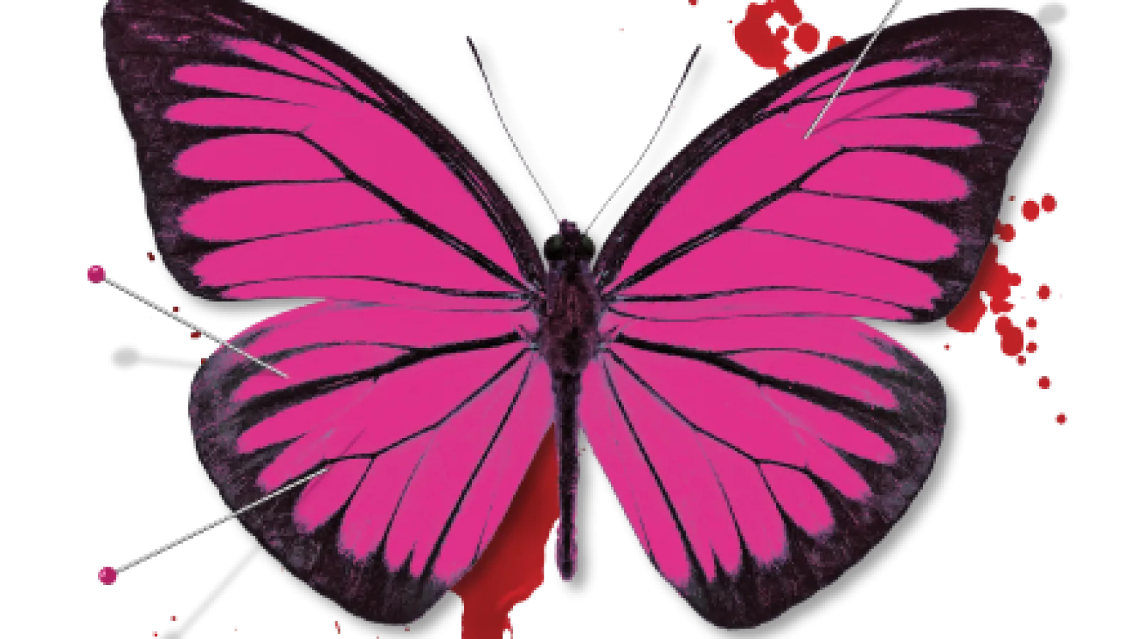 Susan Van Pelt Petry Choreographs Madama Butterfly