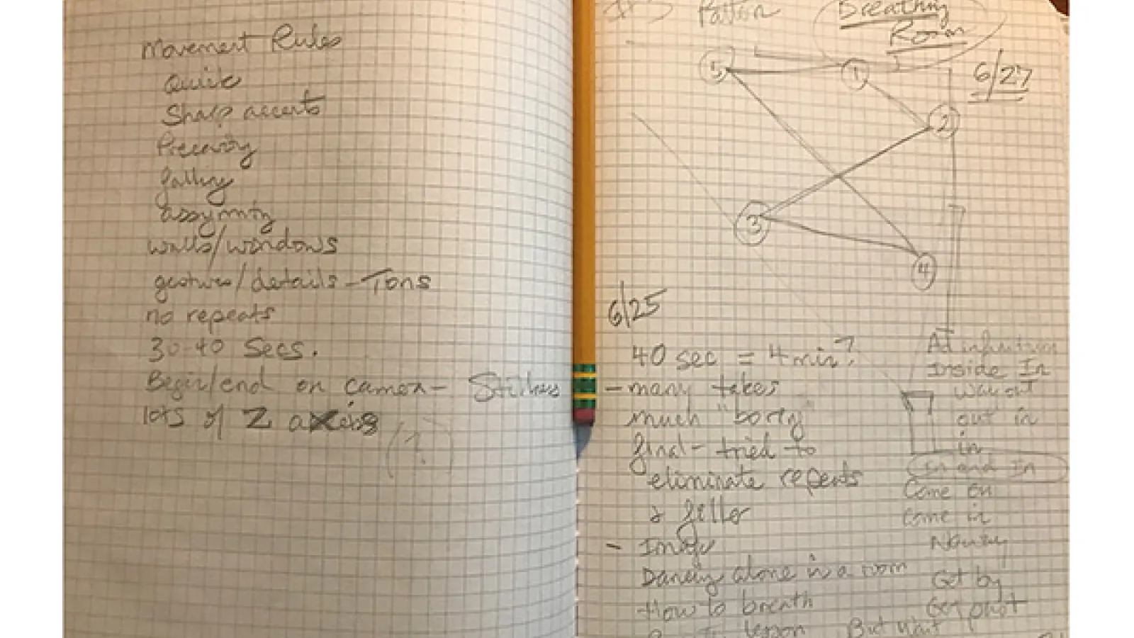 Susan Petry's Process Notes