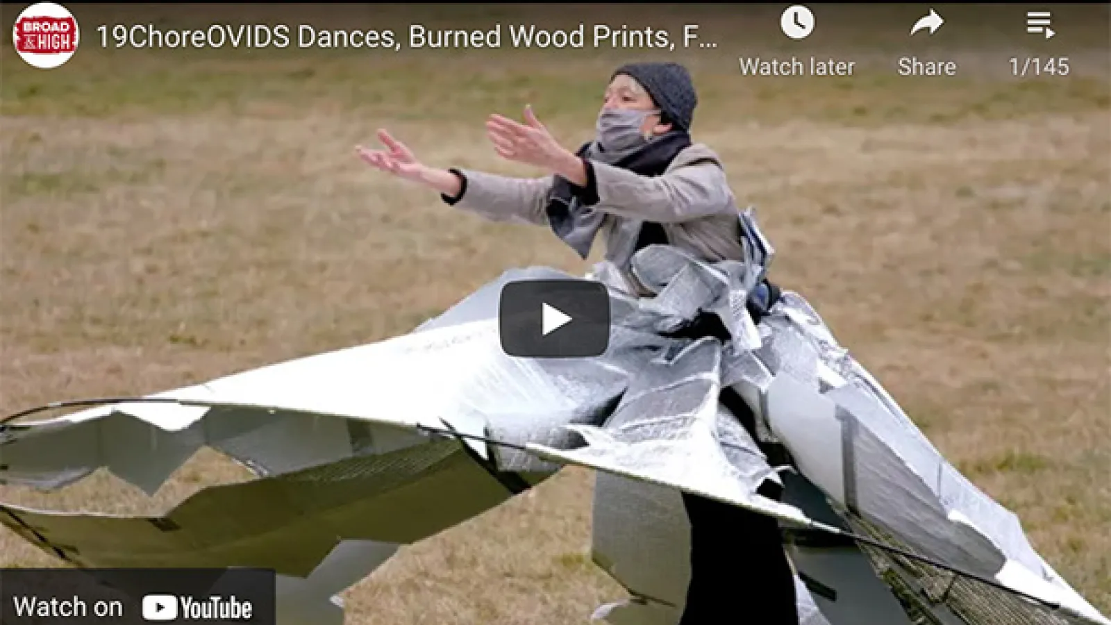 Susan Van Pelt Petry's 19ChoreOVIDs