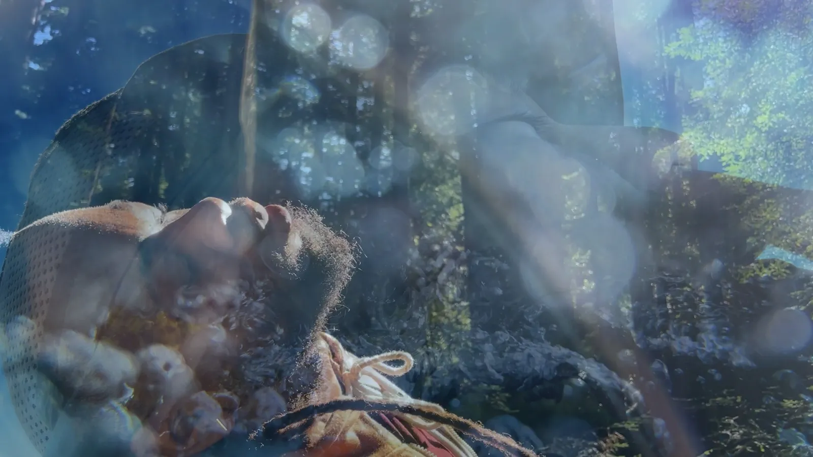 Man sleeping in the woods