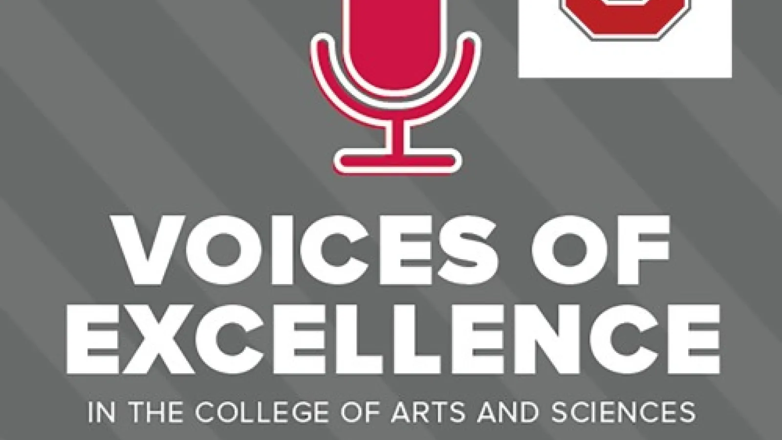 Voices of Excellence