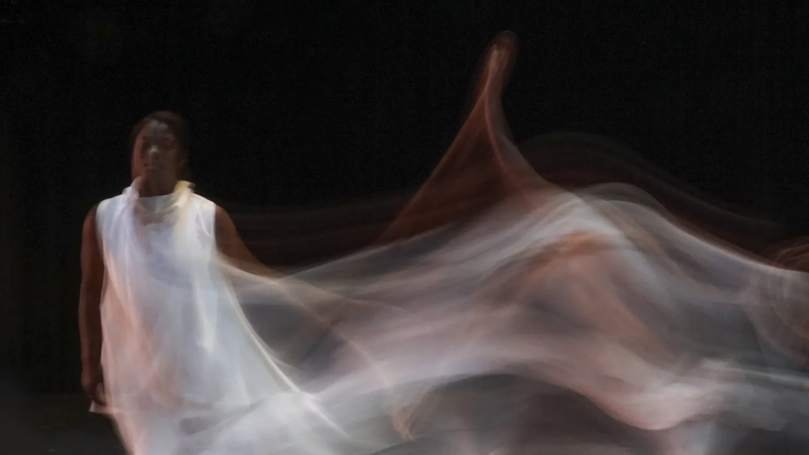The Difficulties of Flying by Crystal Michelle Perkins, photo by Chris Summers