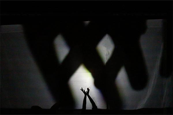 Hand puppet shadows