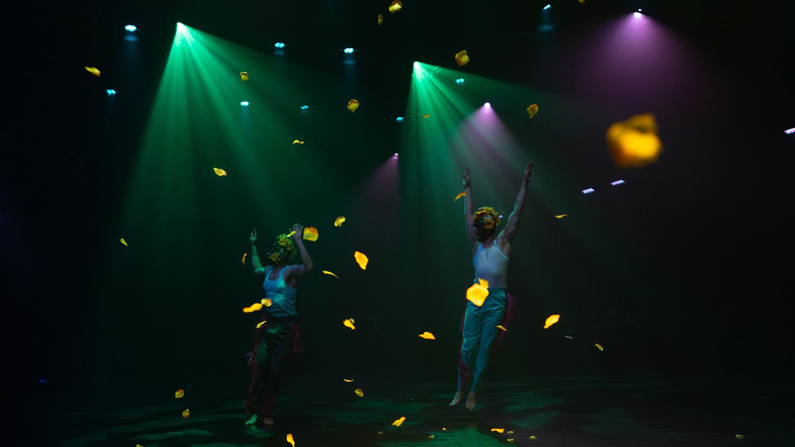 dancers on a lit stage with flower petals falling
