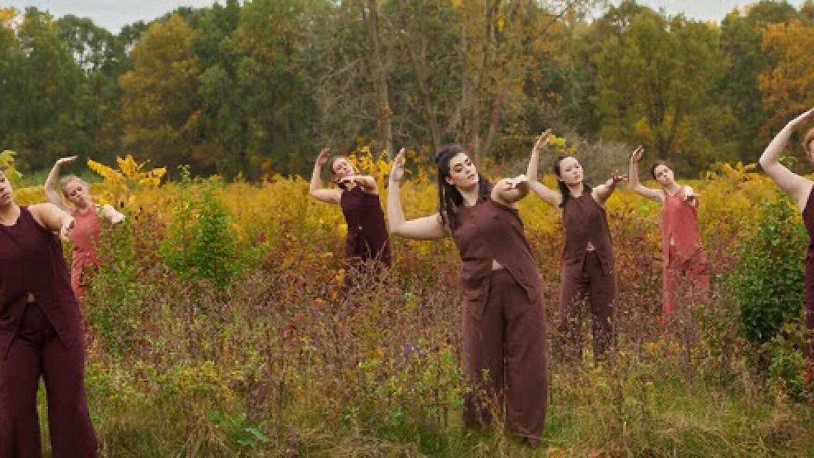 dance film, Alicia